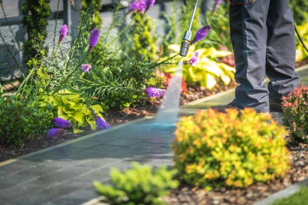 Best Gas Station Cleaning  in Germantown Hls, IL