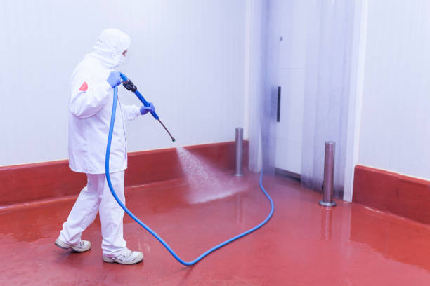 Best Rust Removal  in Germantown Hls, IL