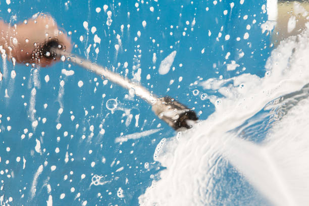 Best Dumpster Area Cleaning  in Germantown Hls, IL