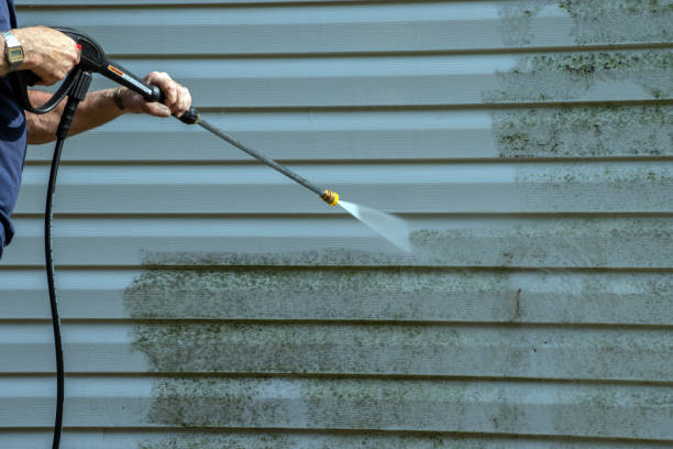 Best Patio and Deck Pressure Washing  in Germantown Hls, IL